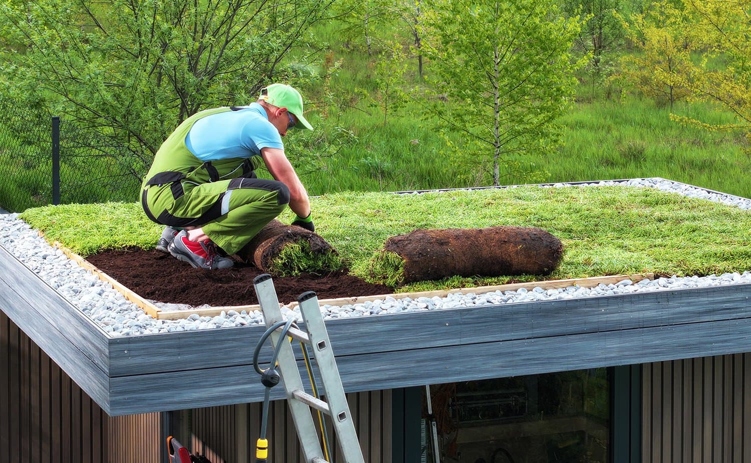 Green Roofing